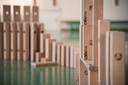 BLOX Domino
